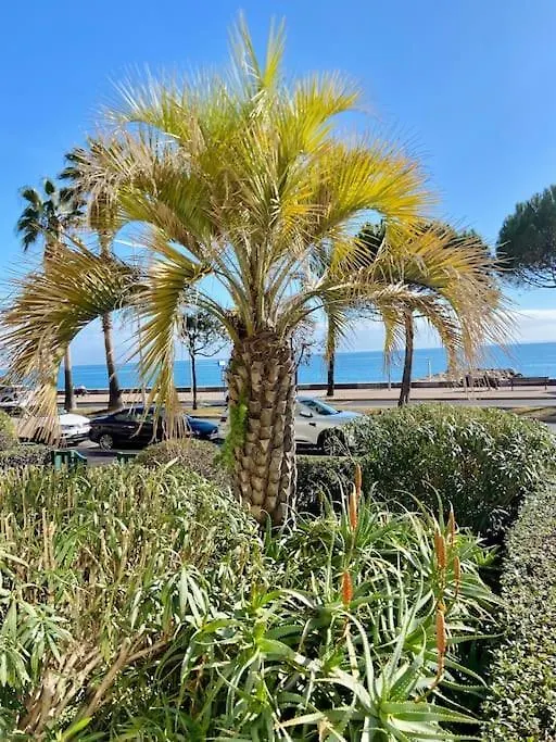 Grands Studio En Bord De Mer Cagnes-sur-Mer 0*,  Francie